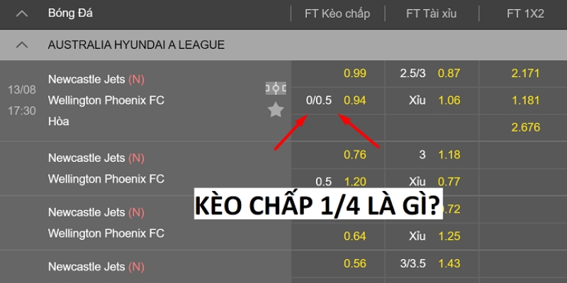 kèo 1/4 là gì